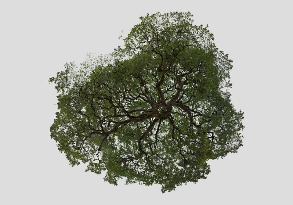 To recolour point cloud data