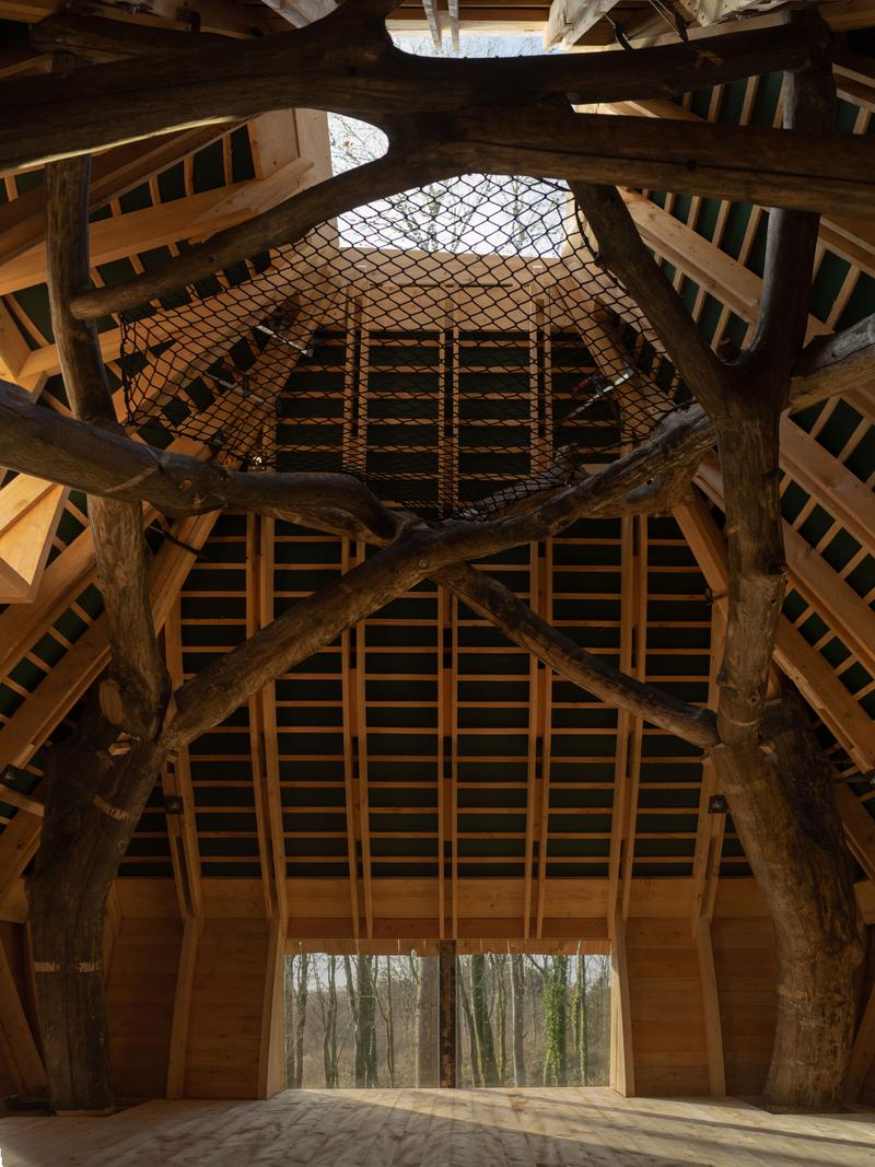 Woodland Cabin image